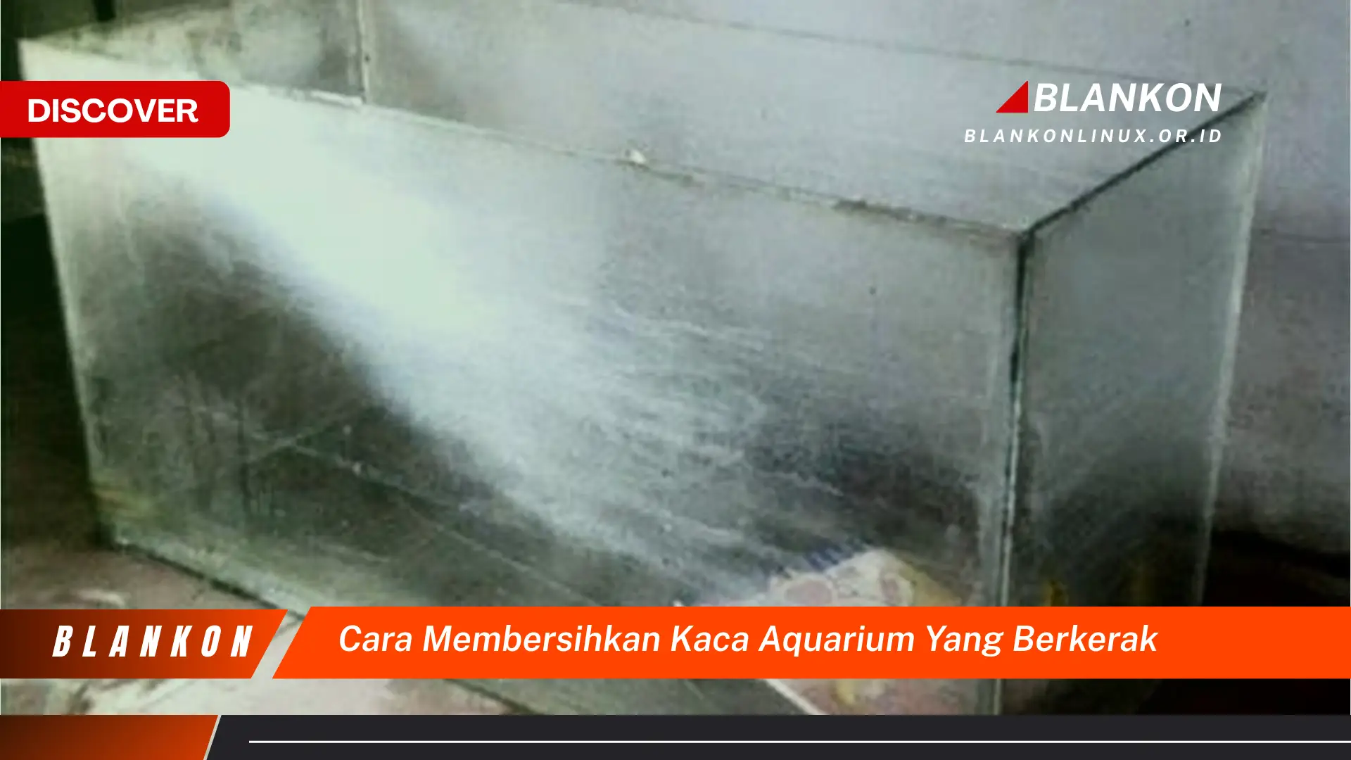 cara membersihkan kaca aquarium yang berkerak