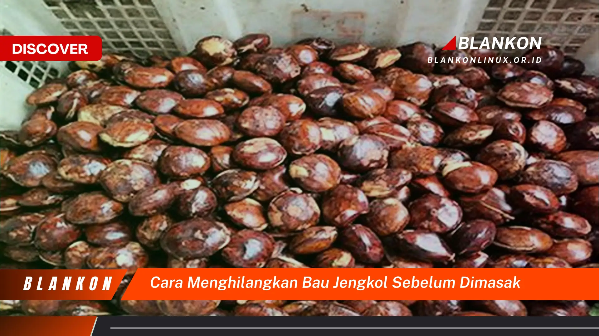 cara menghilangkan bau jengkol sebelum dimasak cara menghilangkan bau jengkol sebelum dimasak