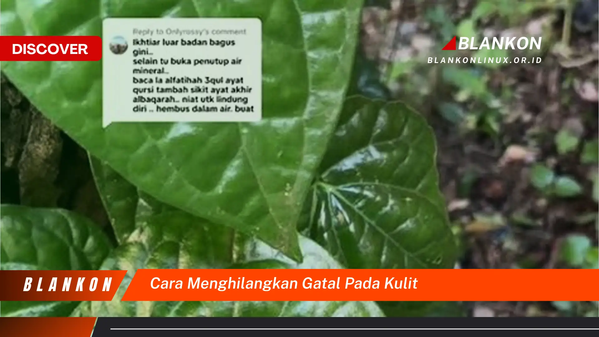 Ketahui Cara Menghilangkan Gatal di Kulit yang Mudah Dipahami