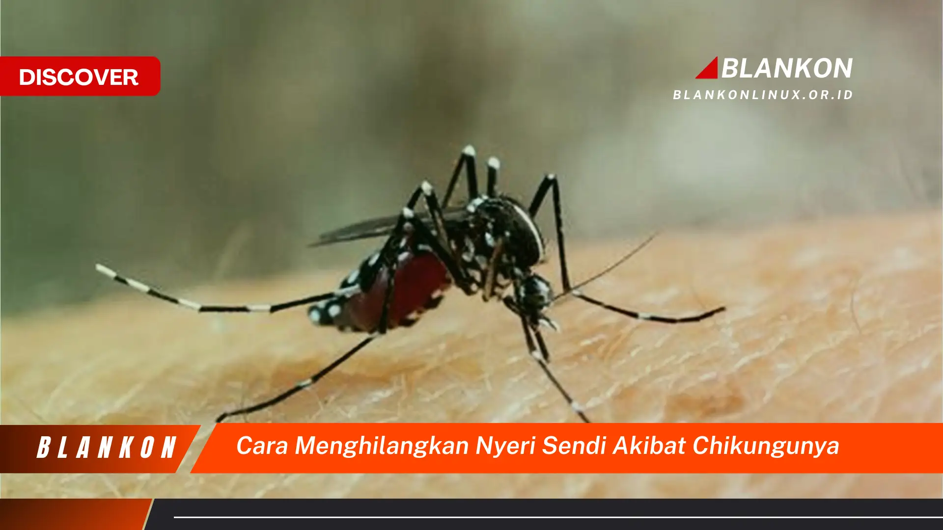 Ketahui Cara Atasi Nyeri Sendi Chikungunya yang Sudah Terbukti