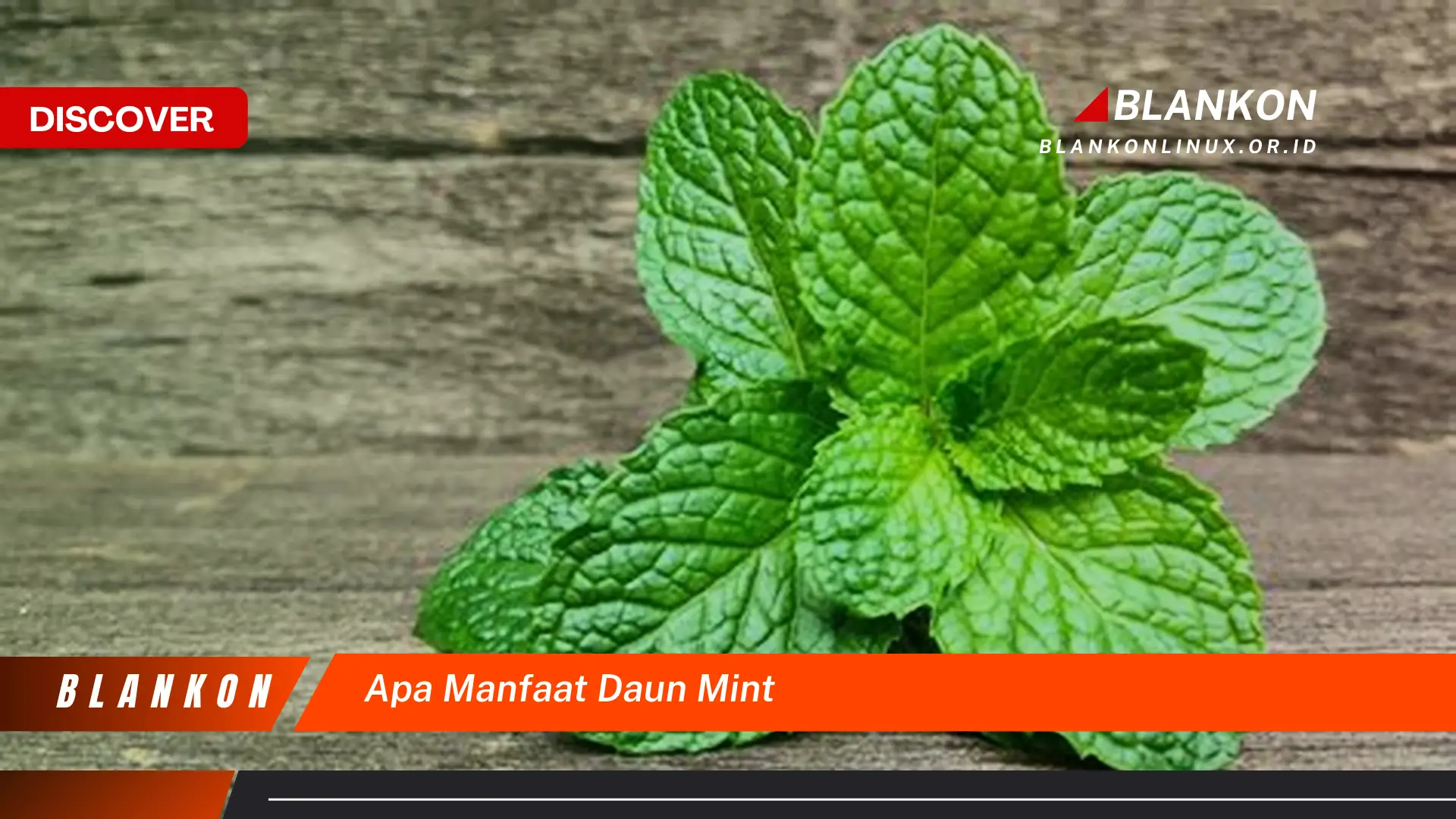 Ketahui 10 Manfaat Daun Mint,  Dari Kesehatan Hingga Kecantikan