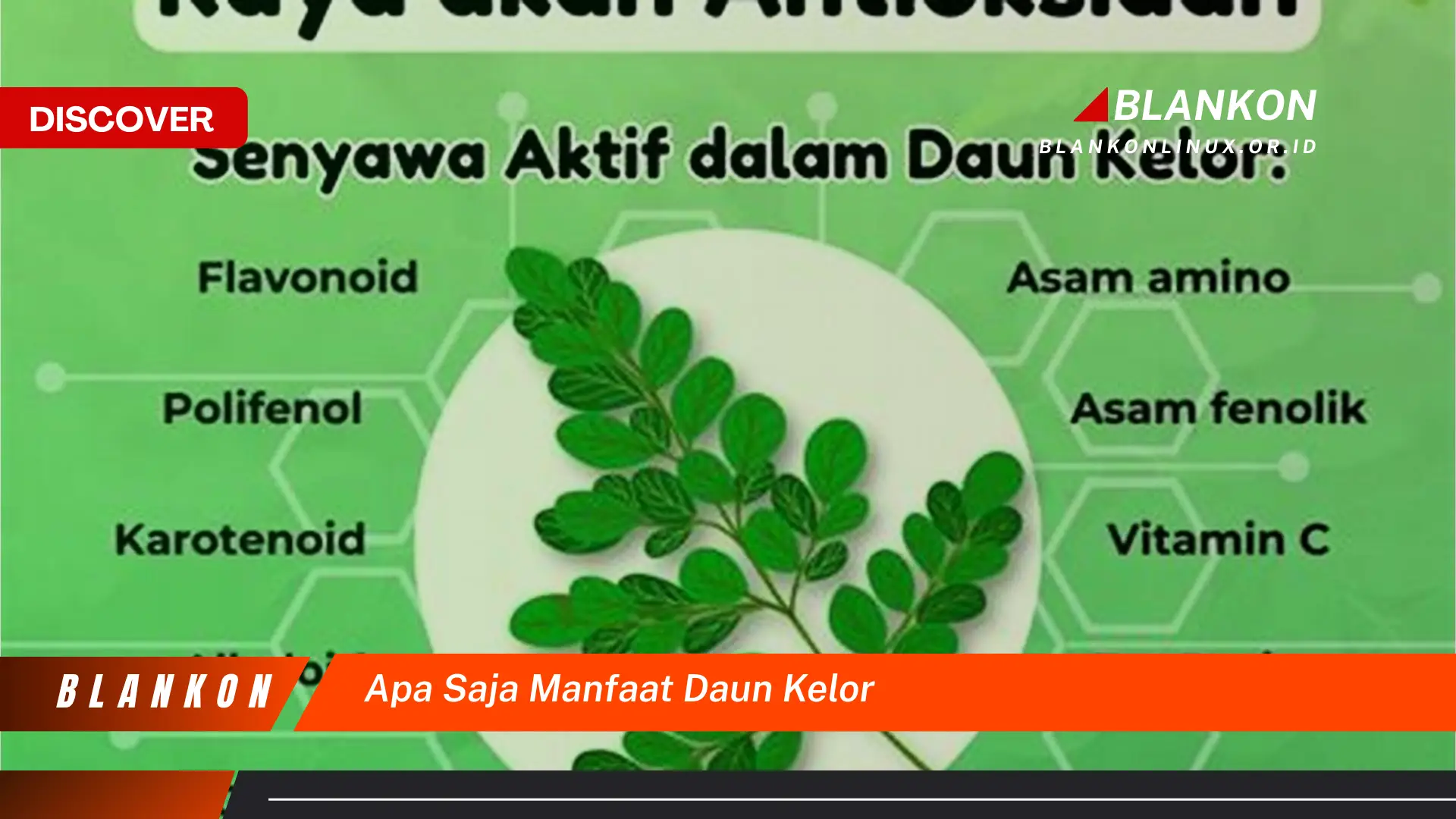 Ketahui 8 Manfaat Daun Kelor yang Menakjubkan untuk Kesehatan Anda