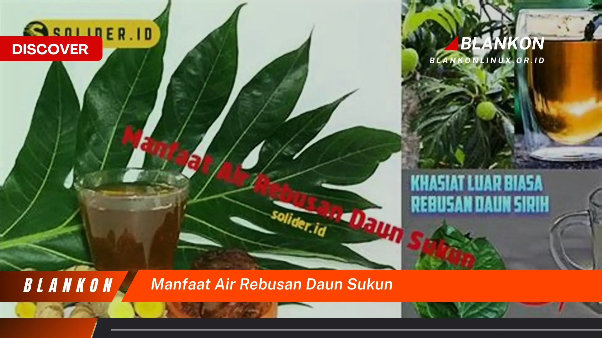 Ketahui 7 Manfaat Air Rebusan Daun Sukun untuk Kesehatan