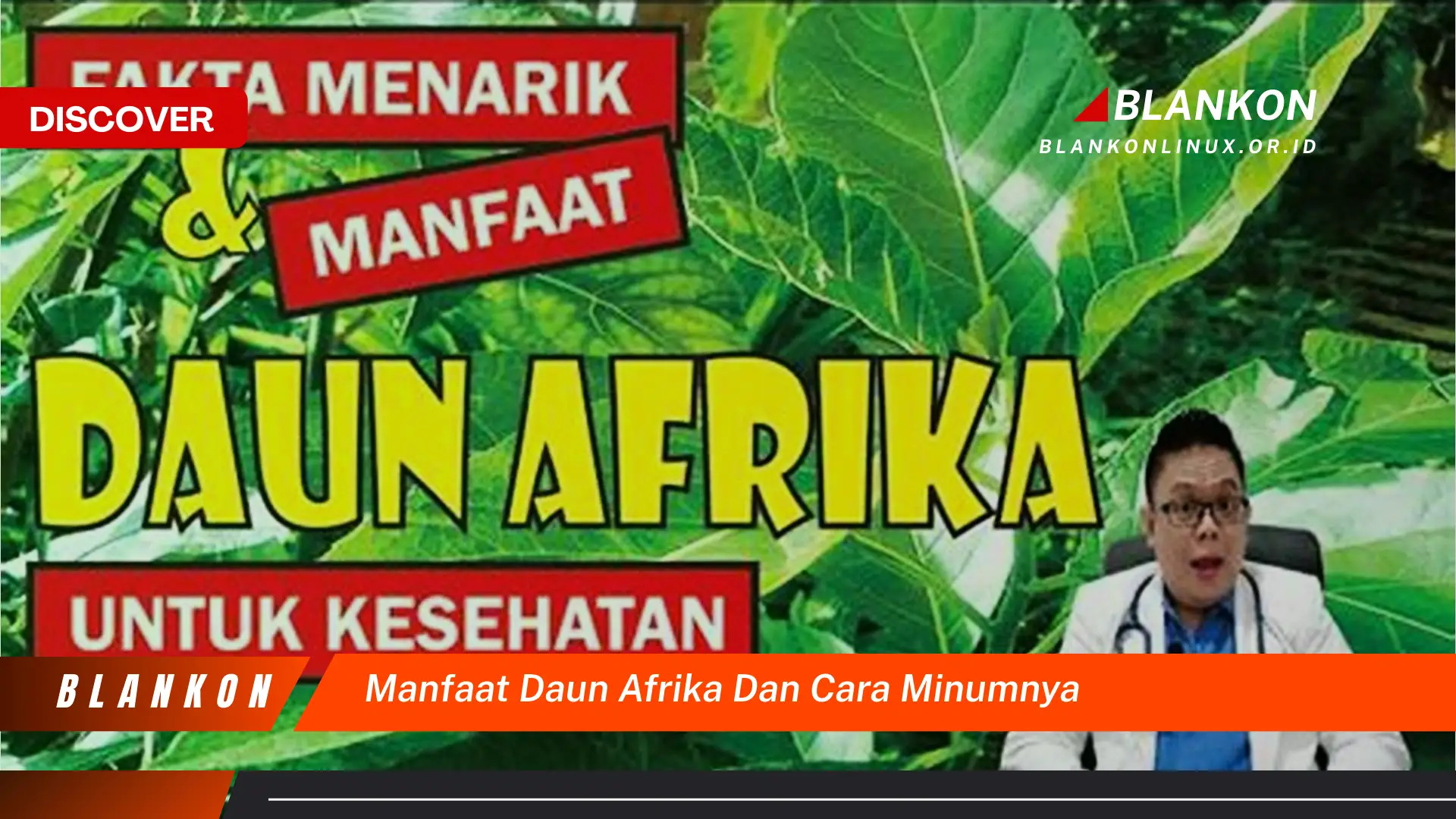 Ketahui 9 Manfaat Daun Afrika untuk Kesehatan dan Cara Minum yang Benar