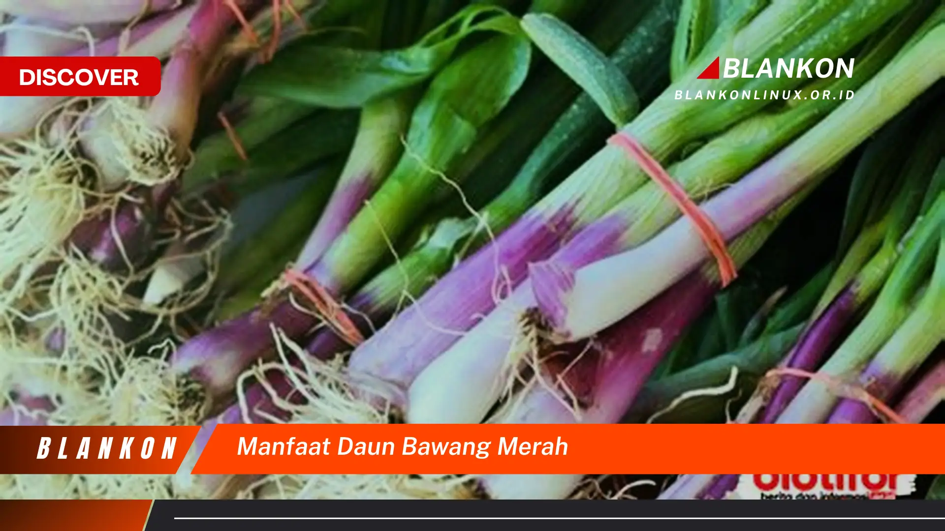 10 Manfaat Ajaib Daun Bawang Merah Untuk Kesehatan