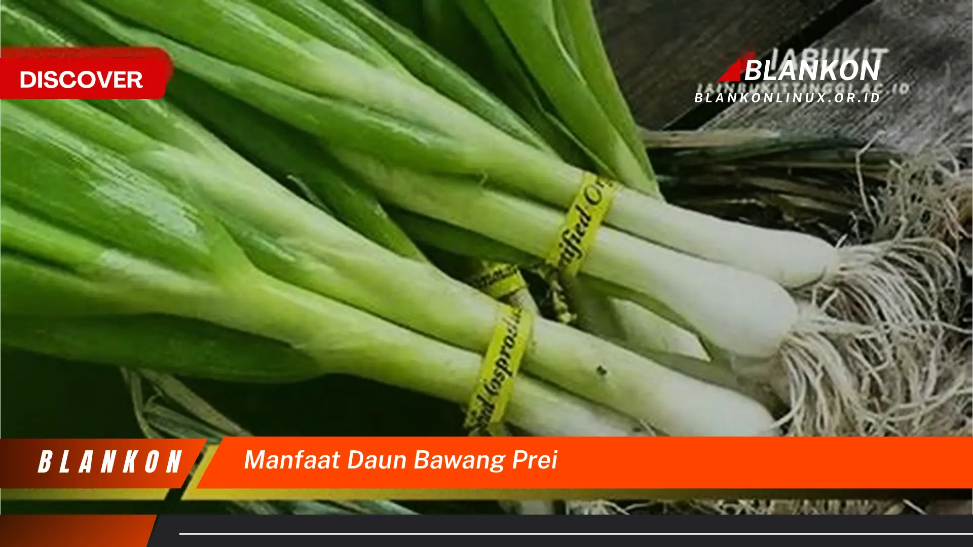 Ketahui 9 Manfaat Daun Bawang Prei untuk Kesehatan dan Masakan Anda