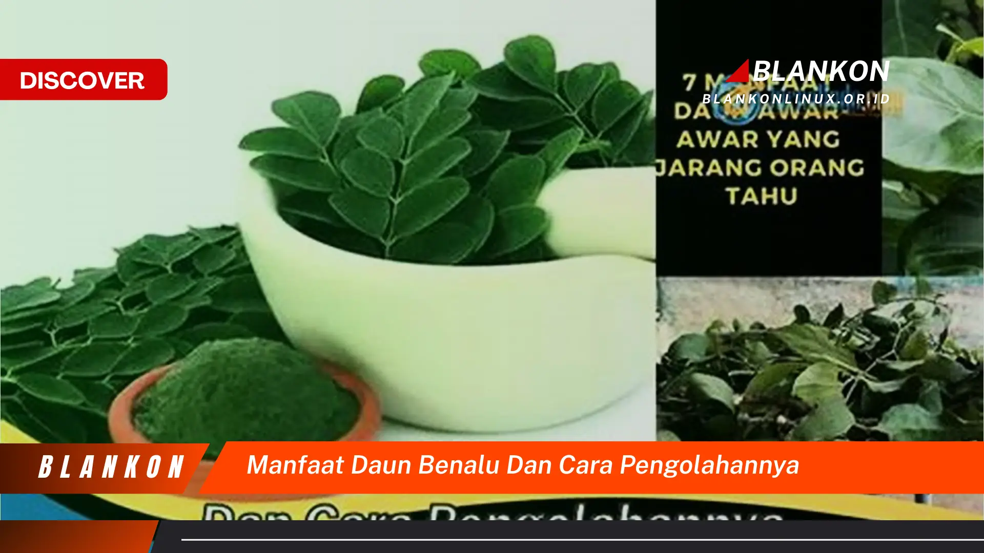 Ketahui 7 Manfaat Daun Benalu dan Pengolahannya yang Jarang Diketahui