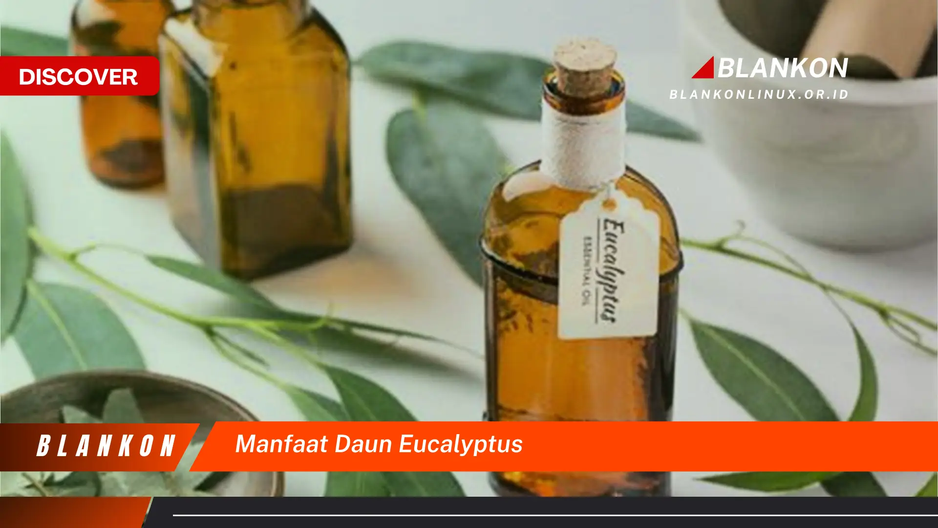 Ketahui 8 Manfaat Daun Eucalyptus untuk Kesehatan Pernafasan, Kulit, dan Lainnya