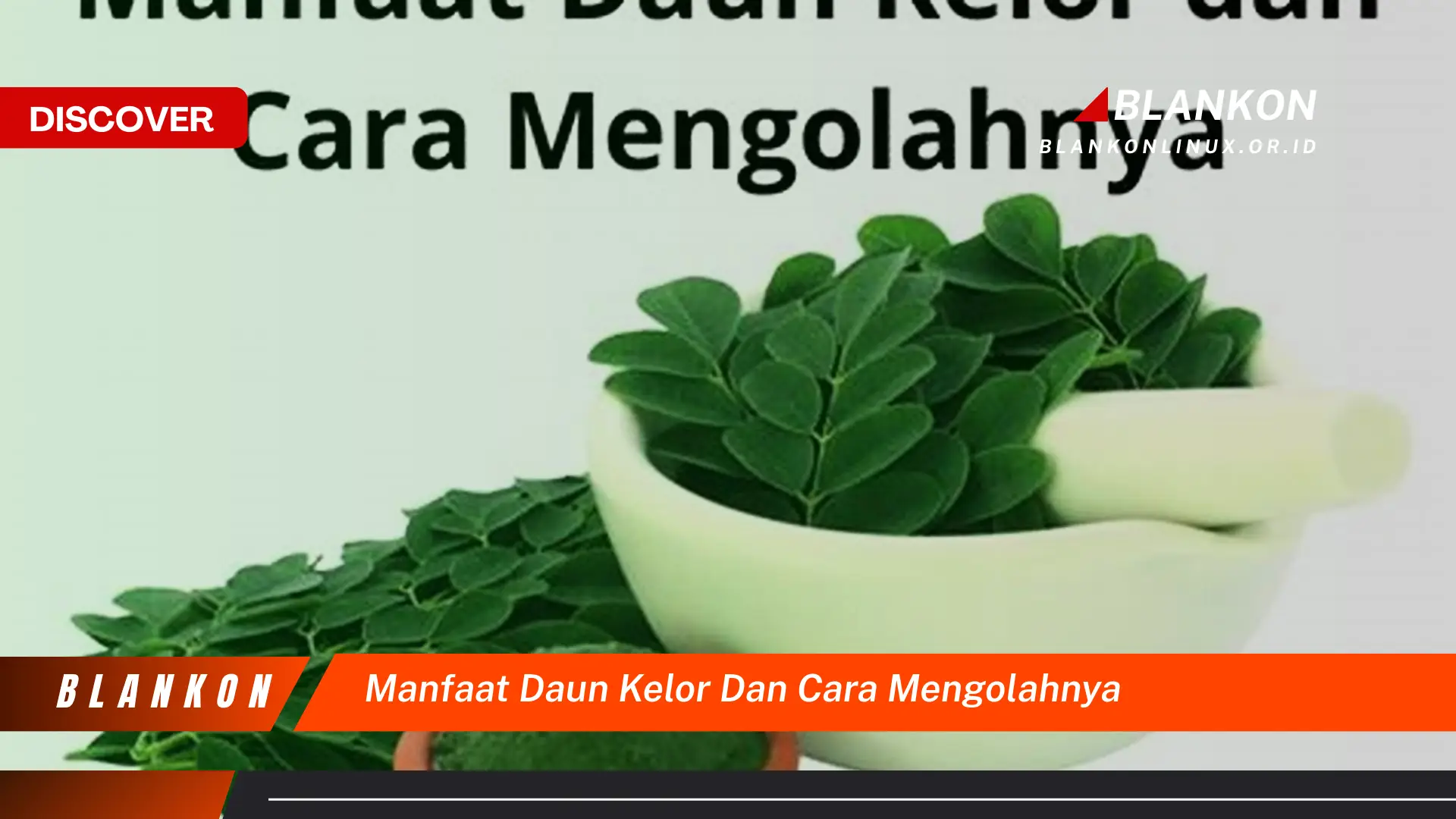 Ketahui 8 Manfaat Daun Kelor untuk Kesehatan dan Cara Mengolahnya dengan Mudah