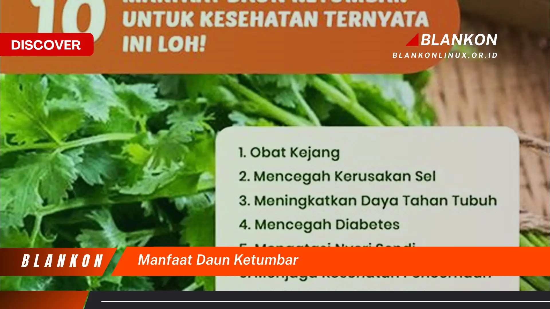 10 Manfaat Daun Ketumbar untuk Kesehatan Anda