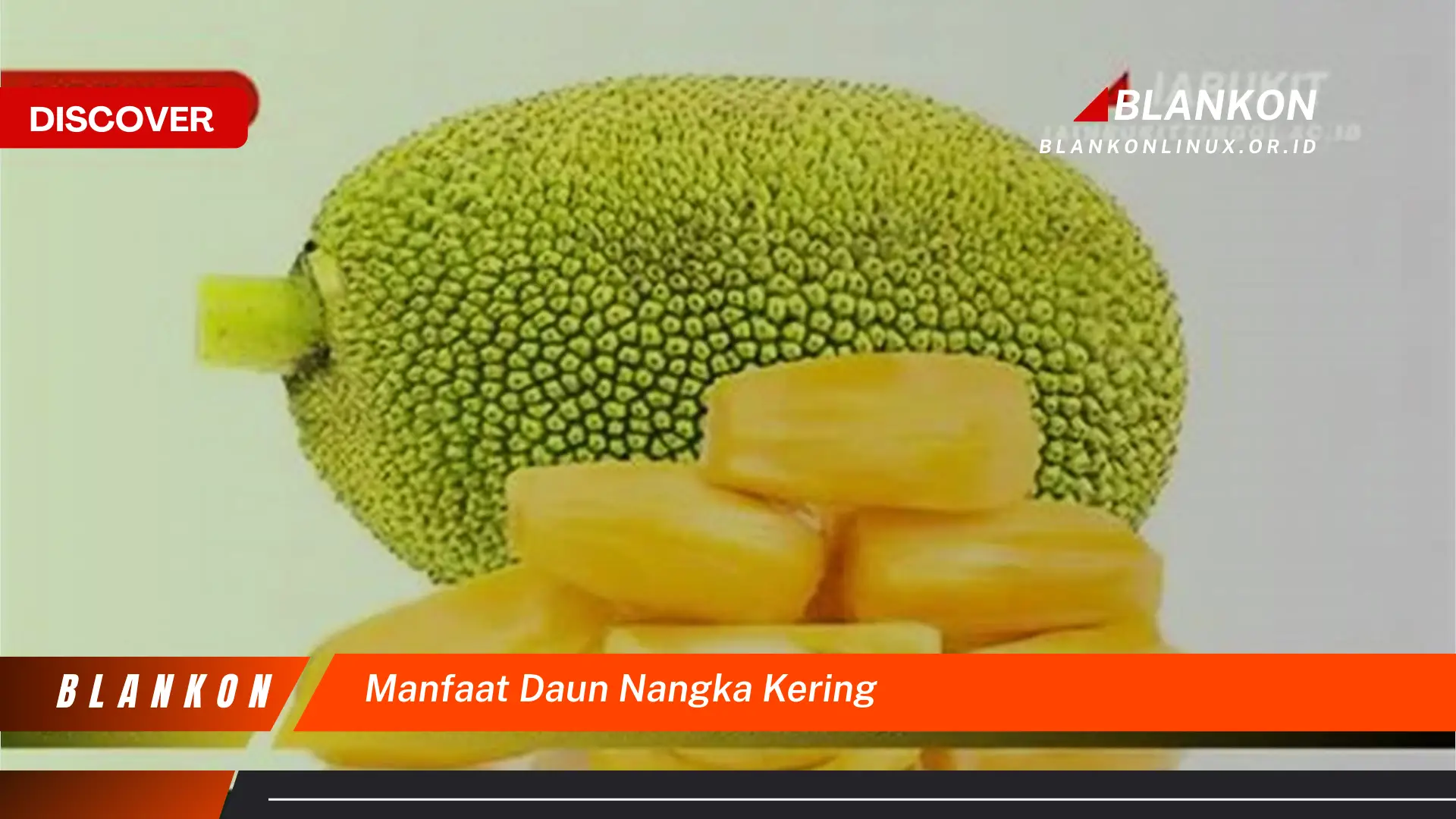 Temukan 10 Manfaat Daun Nangka Kering untuk Kesehatan