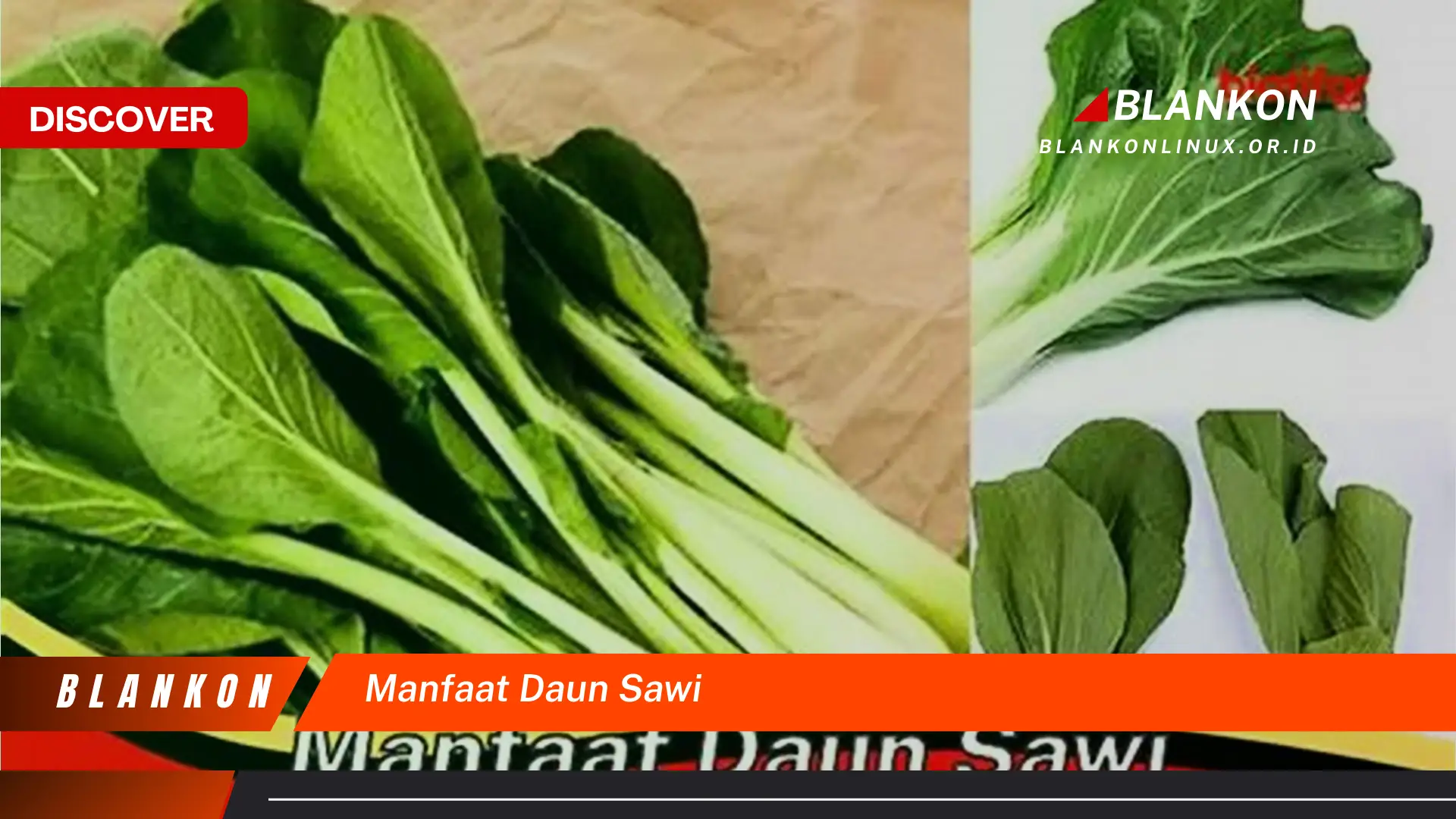 Ketahui 10 Manfaat Daun Sawi untuk Kesehatan, Kecantikan, dan Resep Lezat