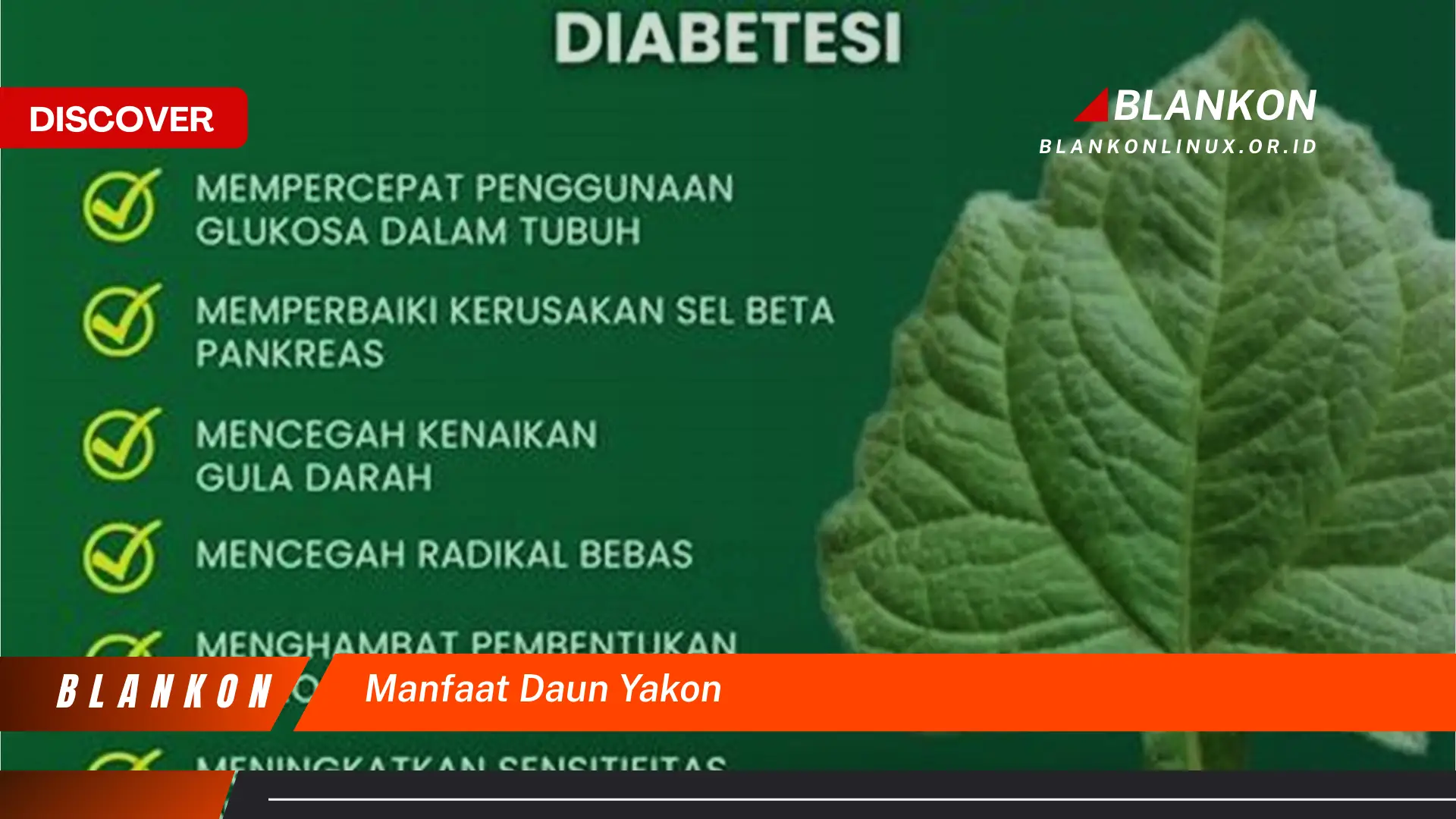 Temukan 7 Manfaat Ajaib Daun Yakon