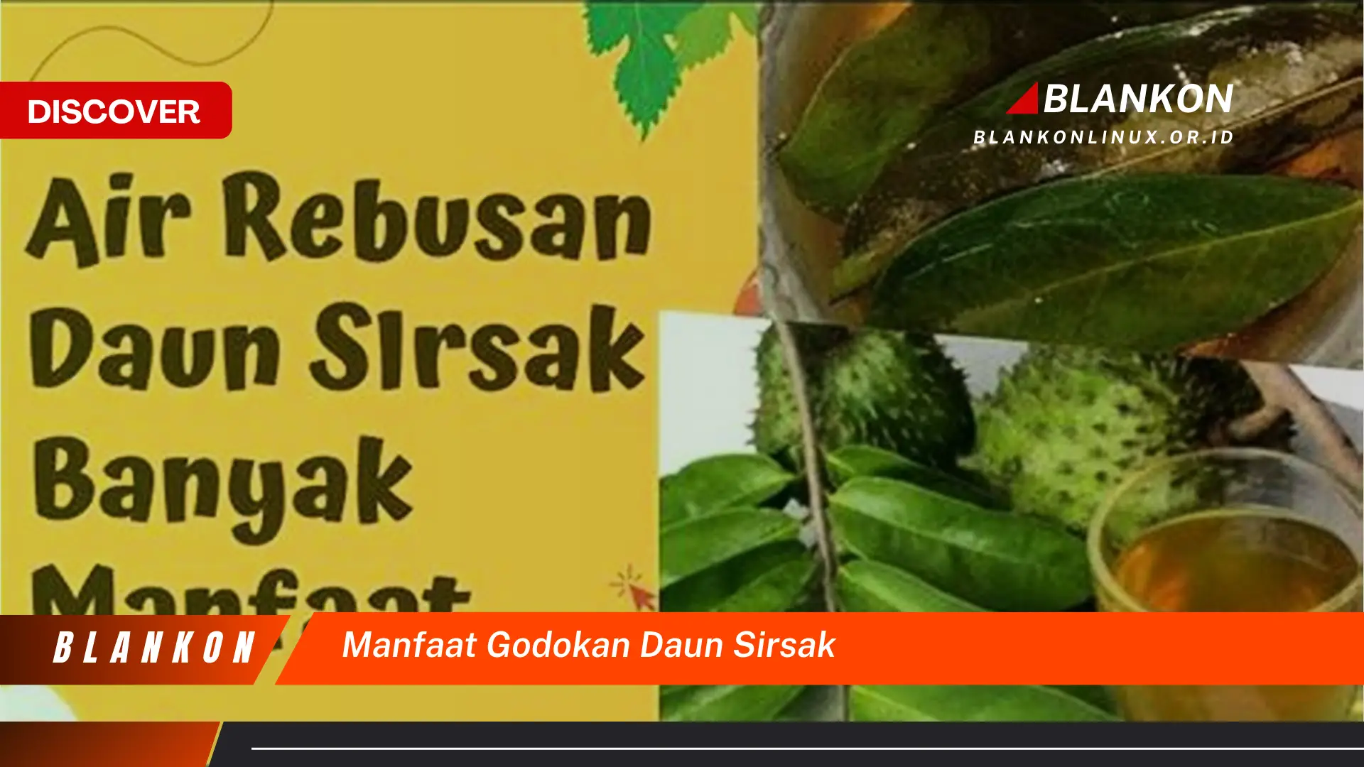 Ketahui 8 Manfaat Godokan Daun Sirsak untuk Kesehatan Tubuh Anda