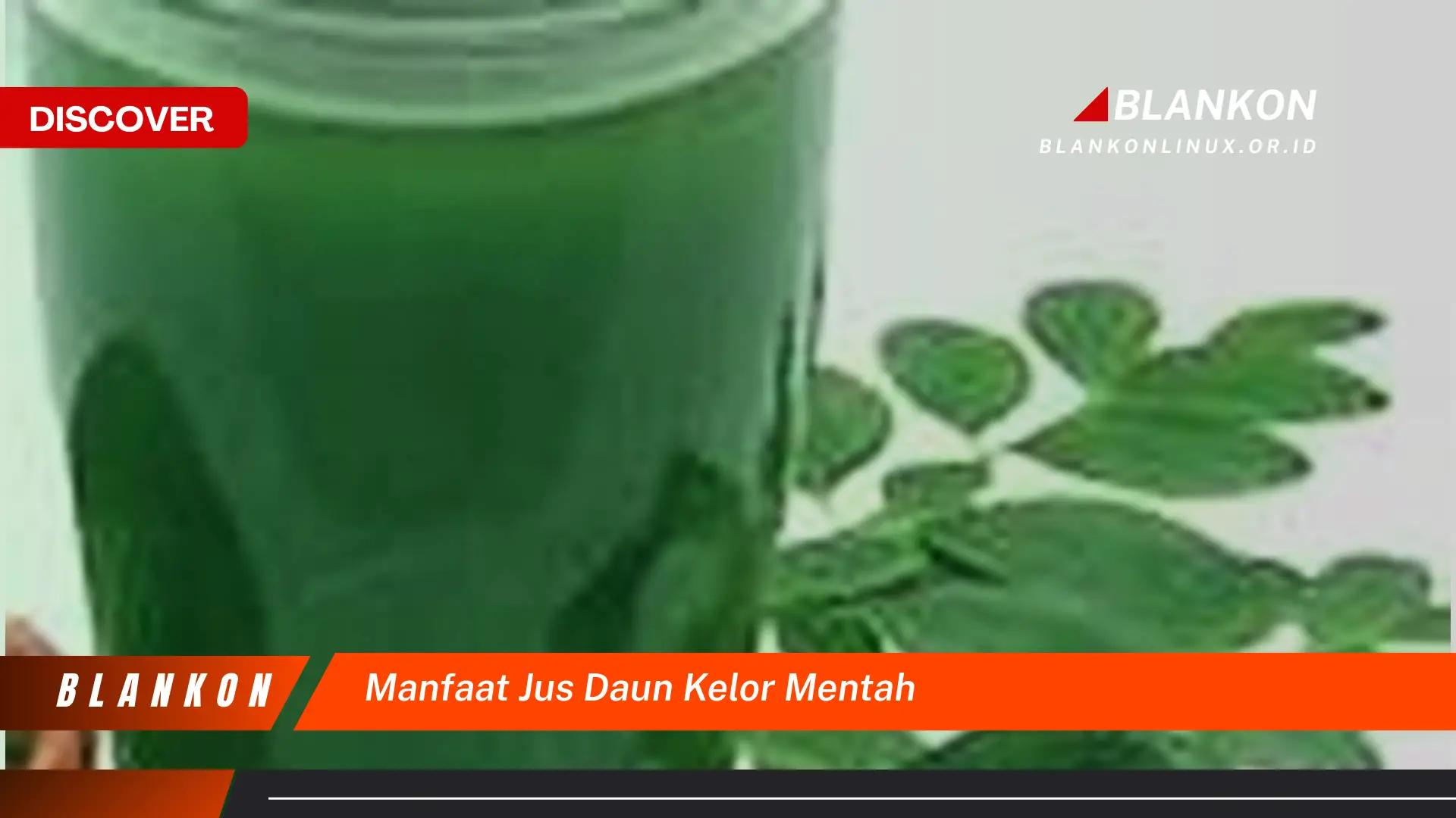 Ketahui 8 Manfaat Jus Daun Kelor Mentah untuk Kesehatan Tubuh Anda