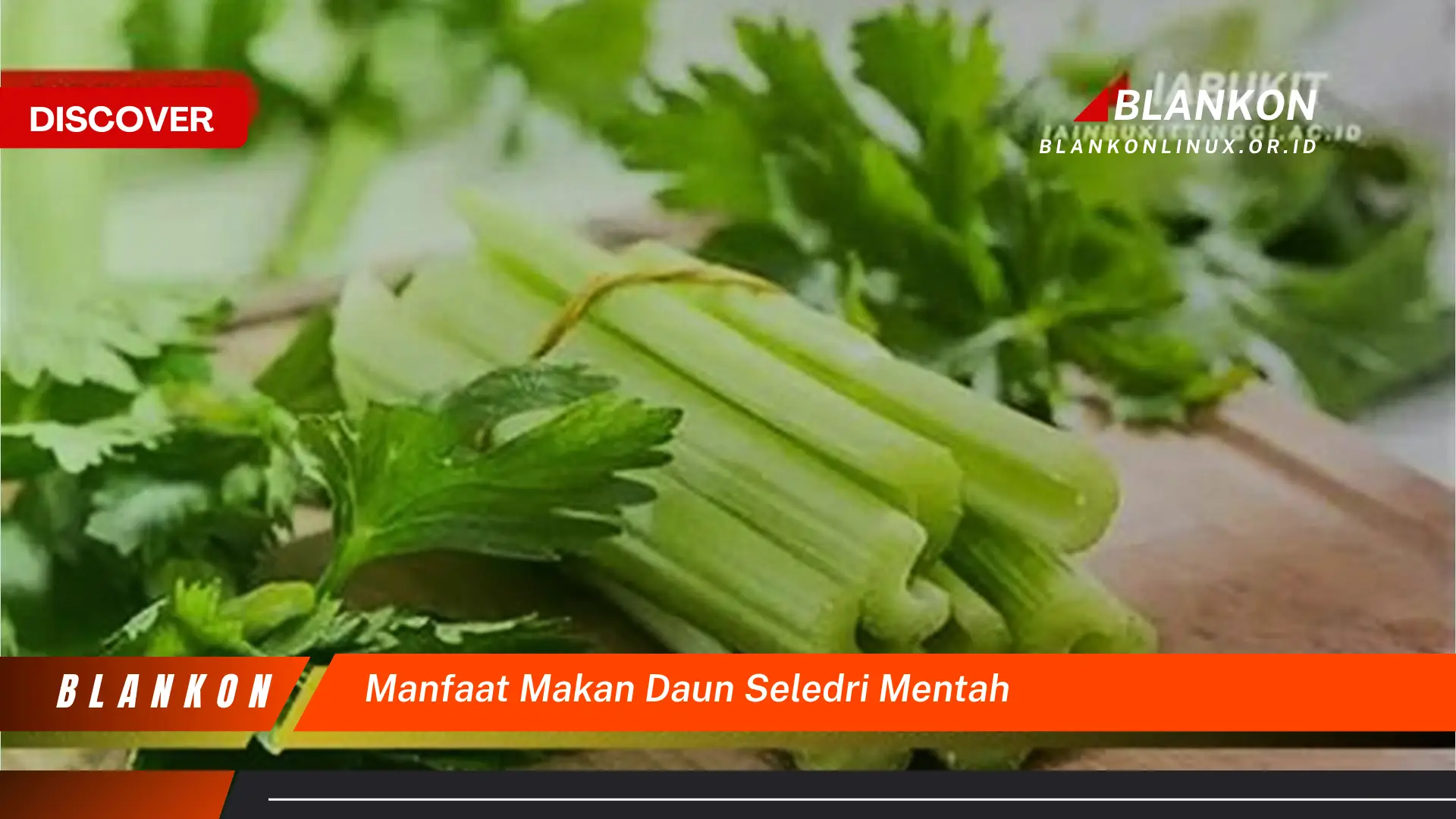 Ketahui 9 Manfaat Makan Daun Seledri Mentah untuk Kesehatan Tubuh Anda