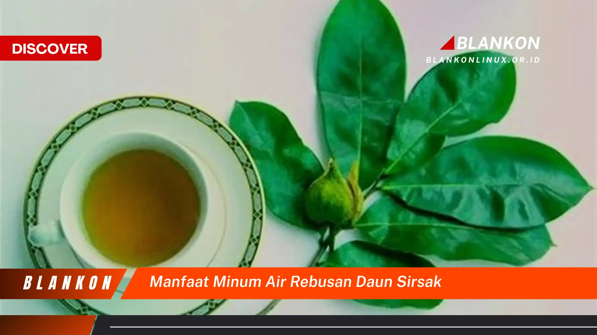 Ketahui 9 Manfaat Minum Air Rebusan Daun Sirsak untuk Kesehatan Tubuh Anda