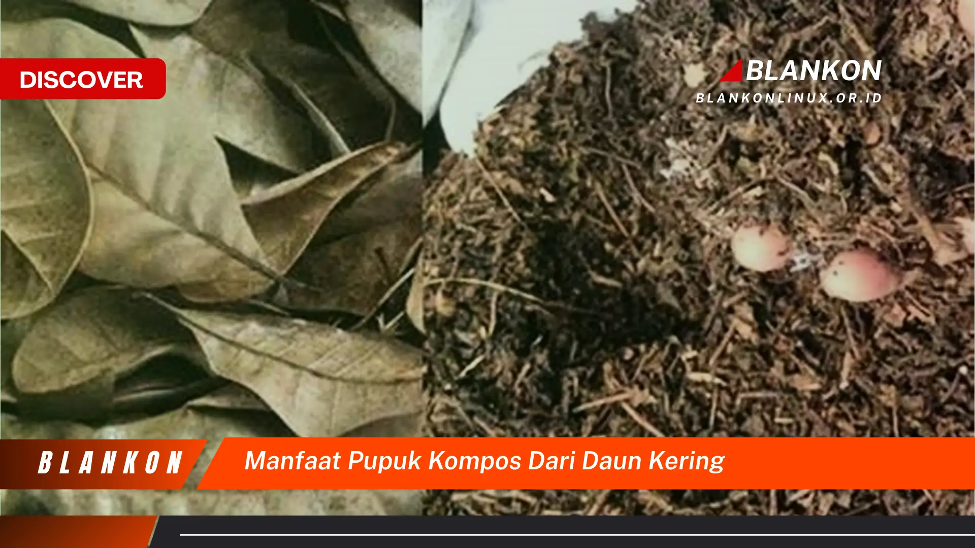 Ketahui 9 Manfaat Pupuk Kompos dari Daun Kering untuk Tanaman Hias dan Sayuran Anda