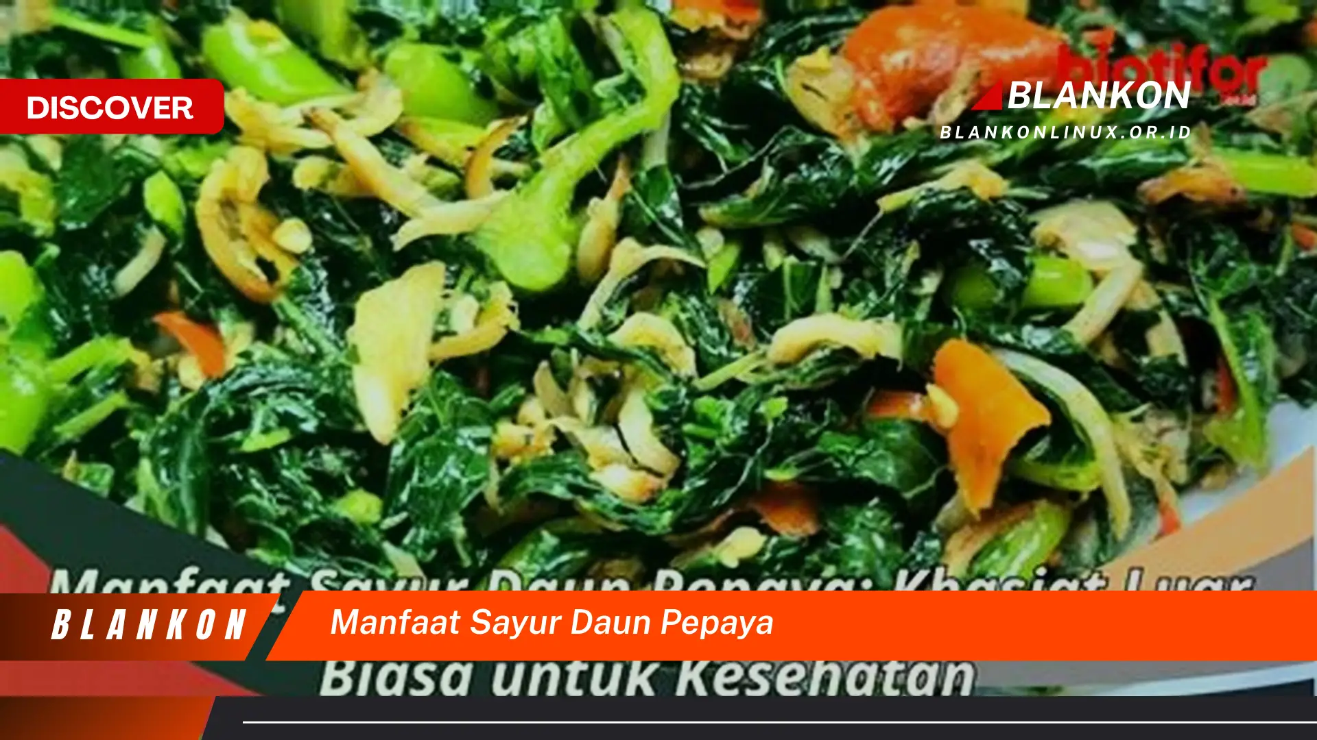 Ketahui 10 Manfaat Sayur Daun Pepaya untuk Kesehatan Tubuh Anda