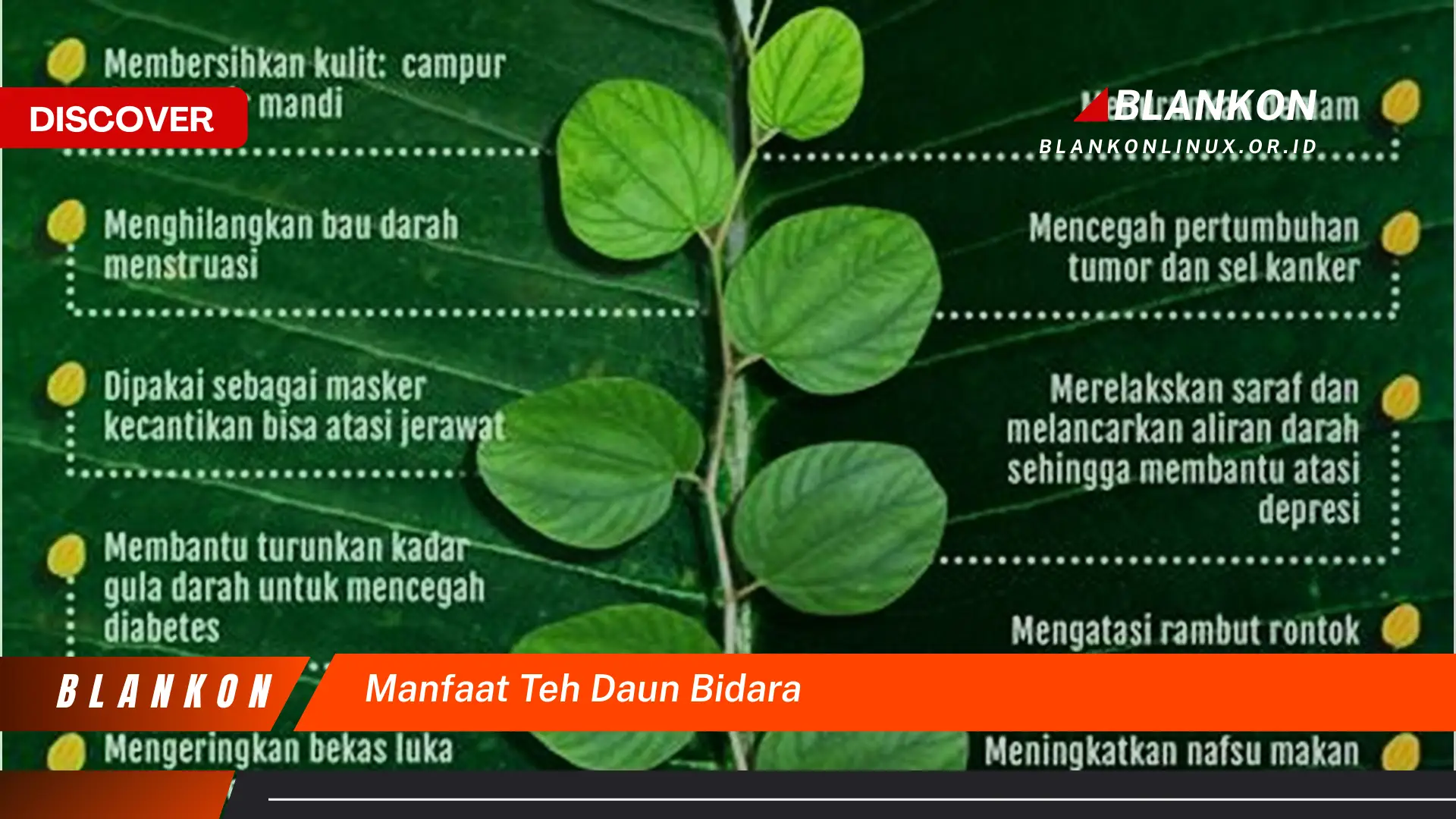 Temukan 7 Manfaat Ajaib Teh Daun Bidara untuk Kesehatan