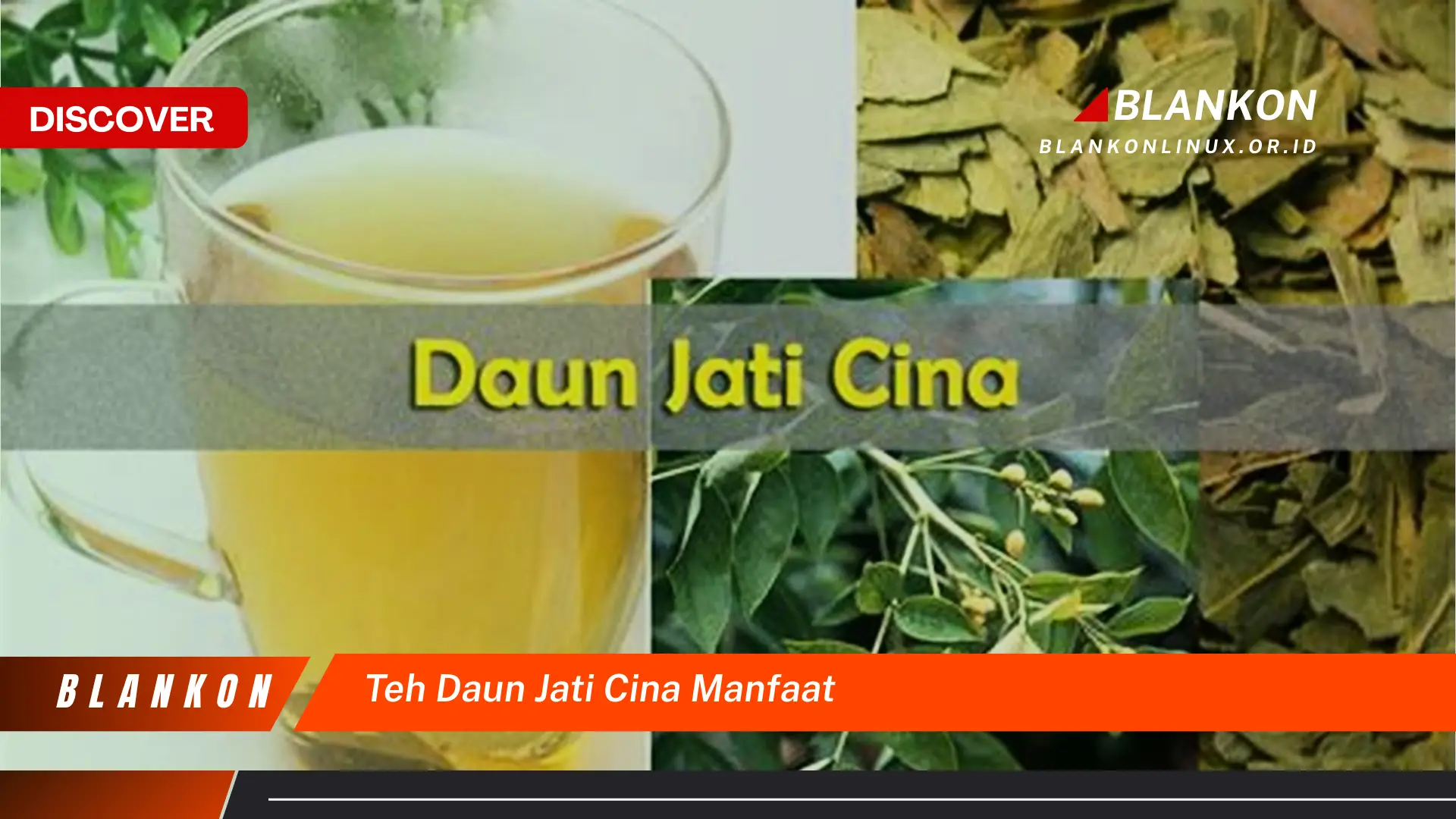 Ketahui 9 Manfaat Teh Daun Jati Cina untuk Kesehatan Tubuh Anda