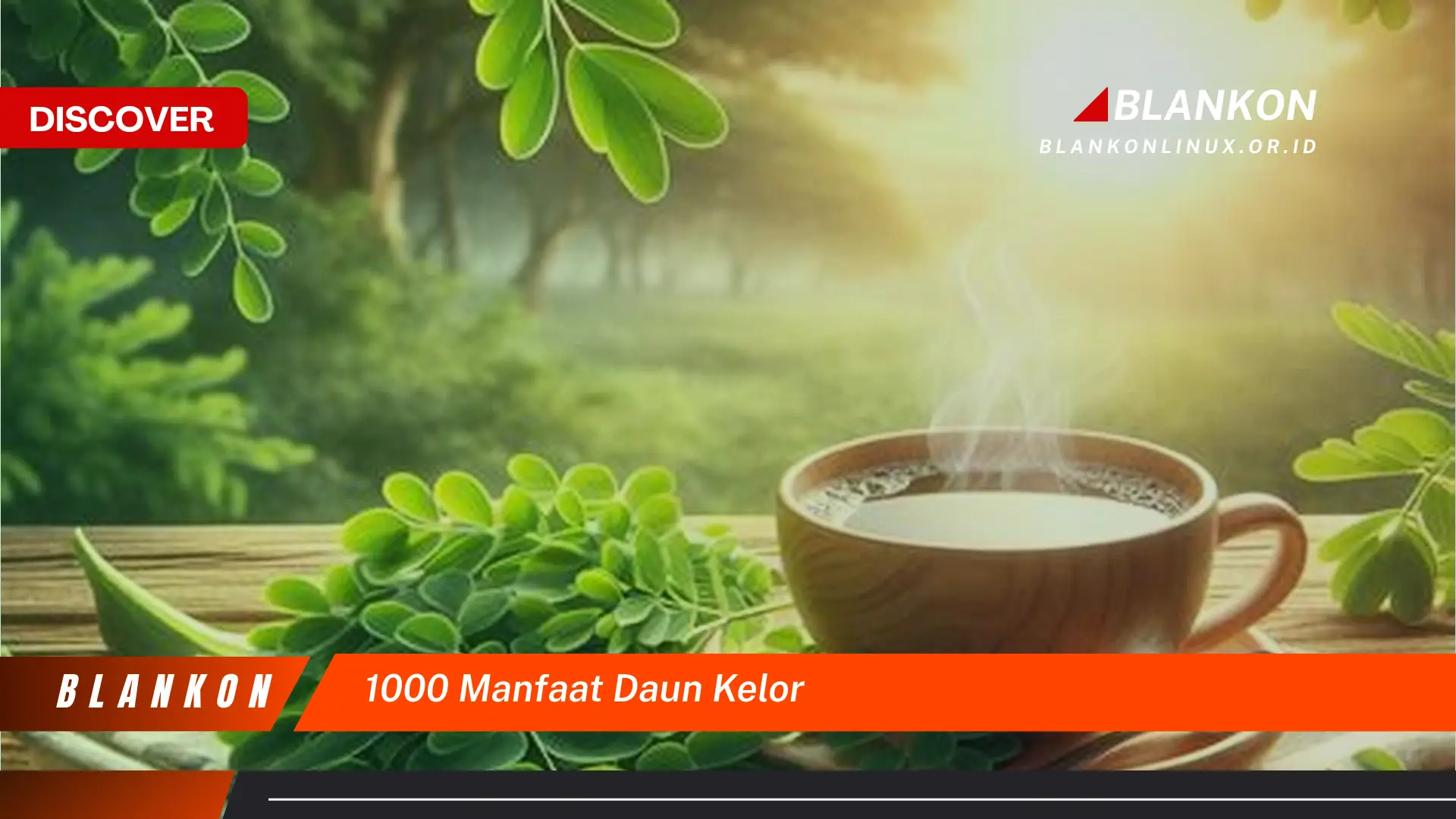 1000 manfaat daun kelor