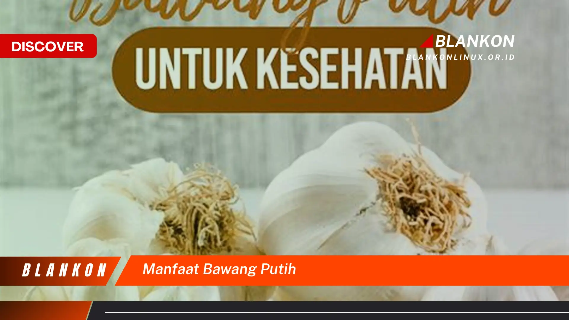 manfaat bawang putih