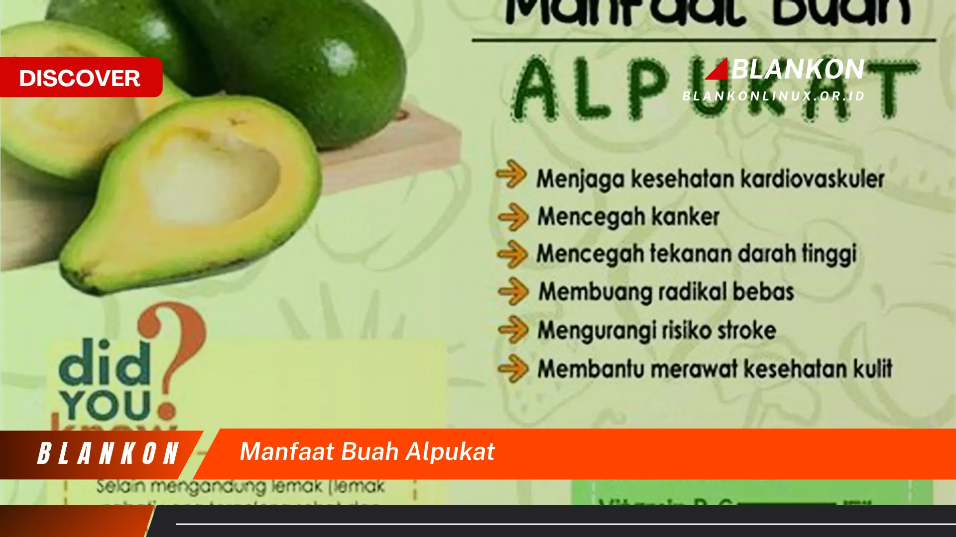 manfaat buah alpukat