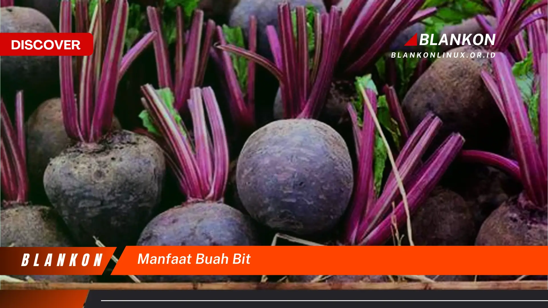 manfaat buah bit