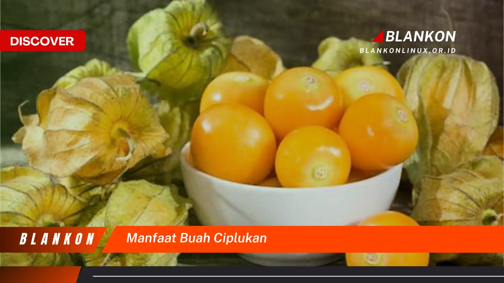 manfaat buah ciplukan