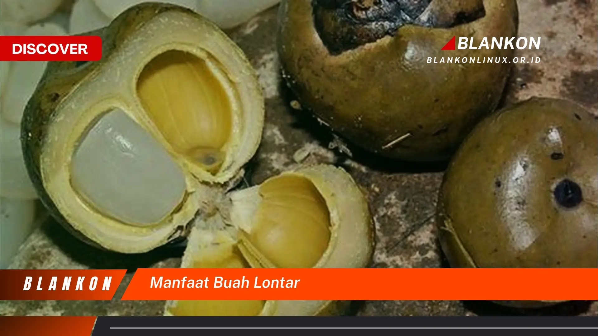 manfaat buah lontar