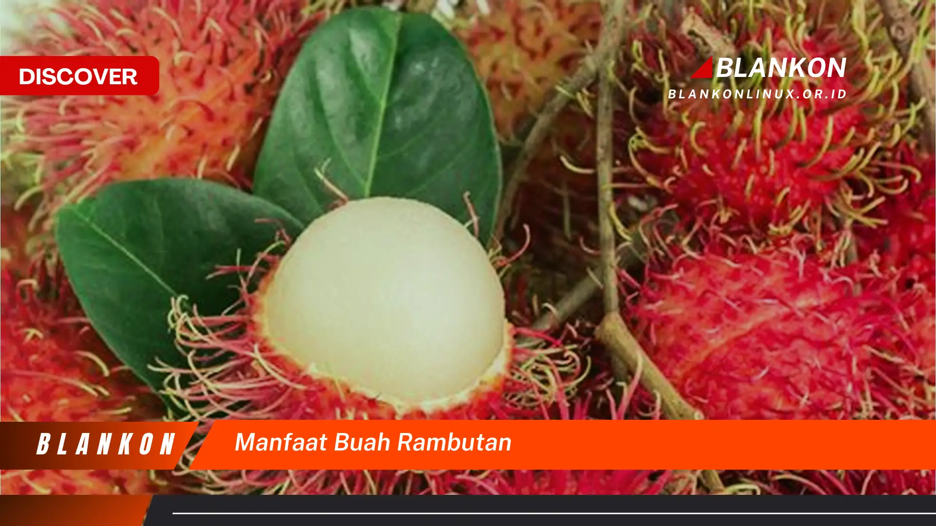 manfaat buah rambutan