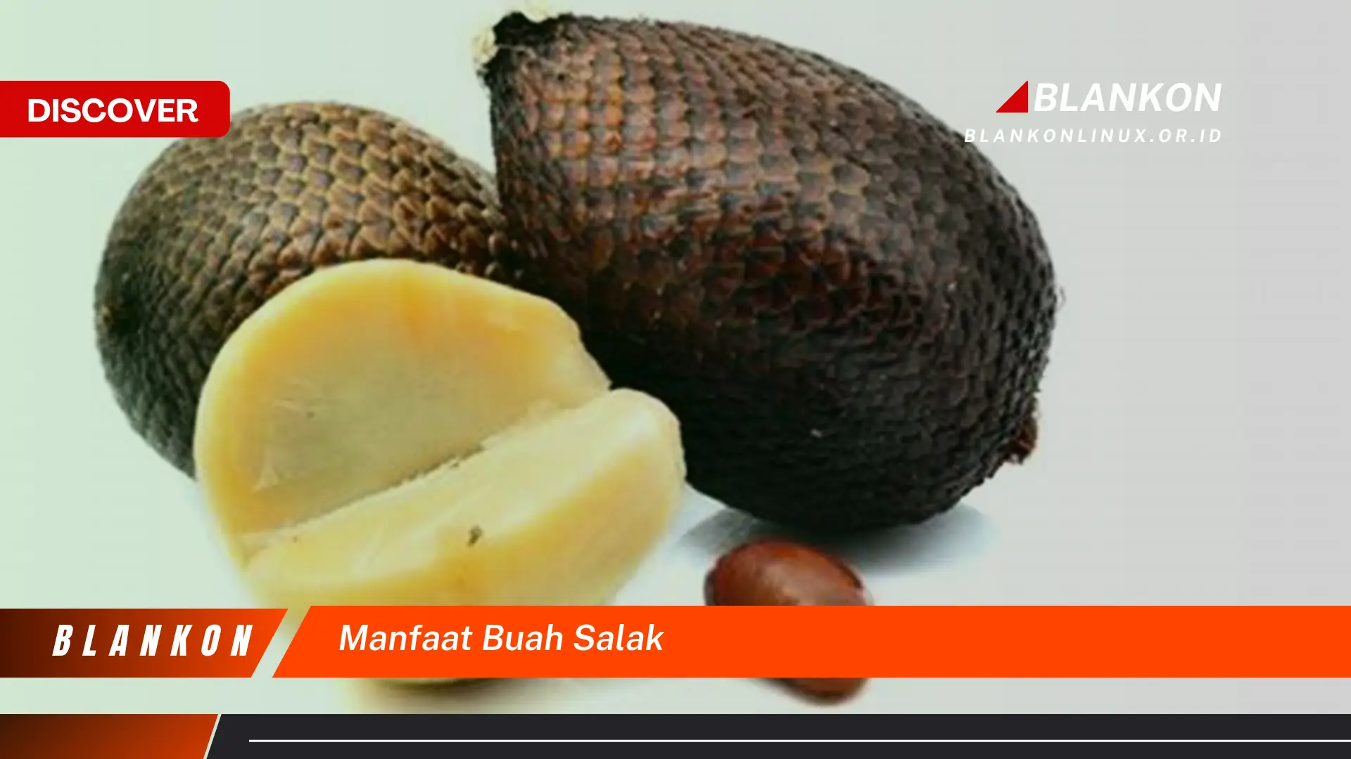 manfaat buah salak