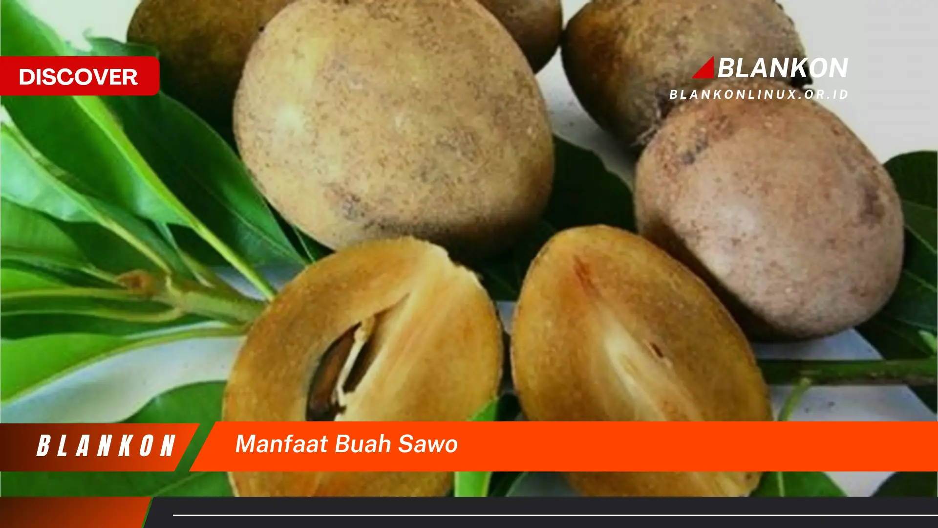 manfaat buah sawo