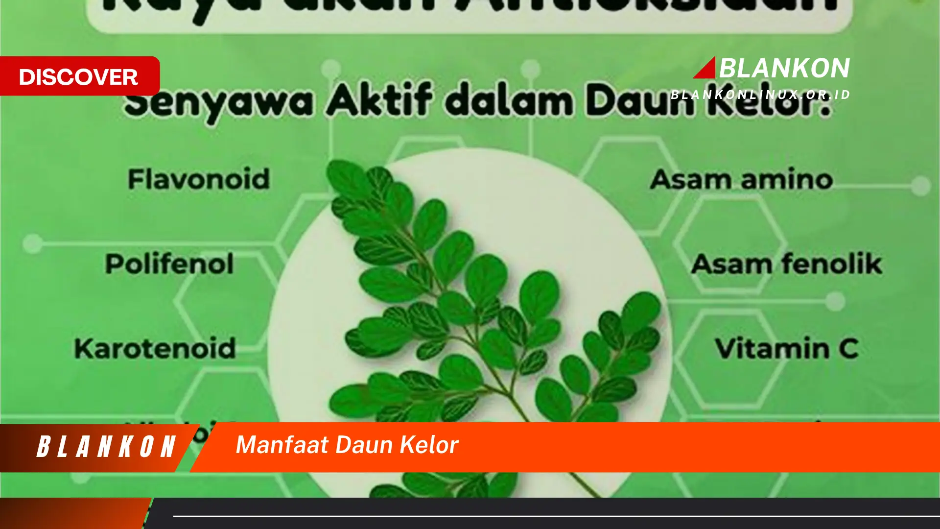 manfaat daun kelor