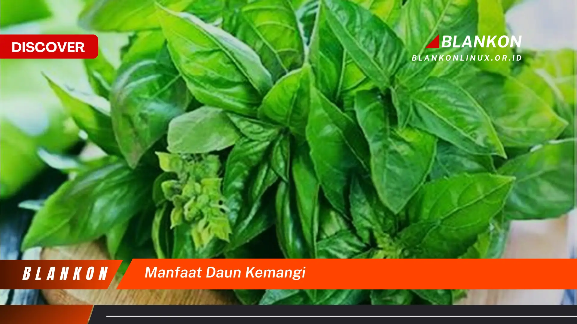 manfaat daun kemangi