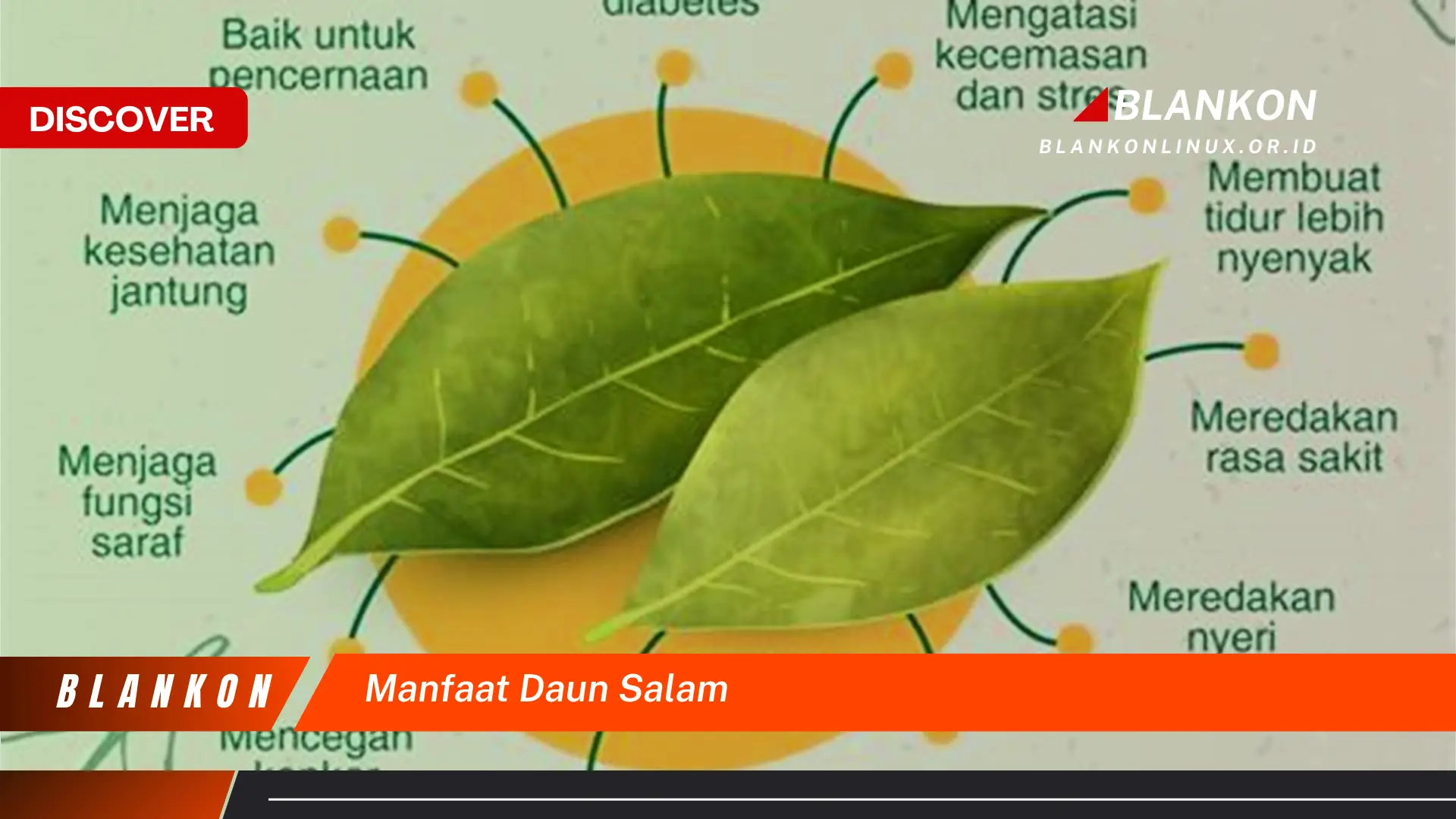 manfaat daun salam