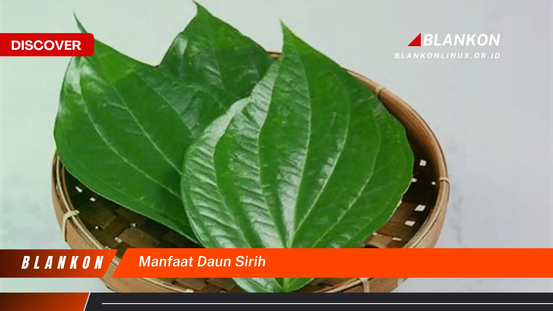 manfaat daun sirih