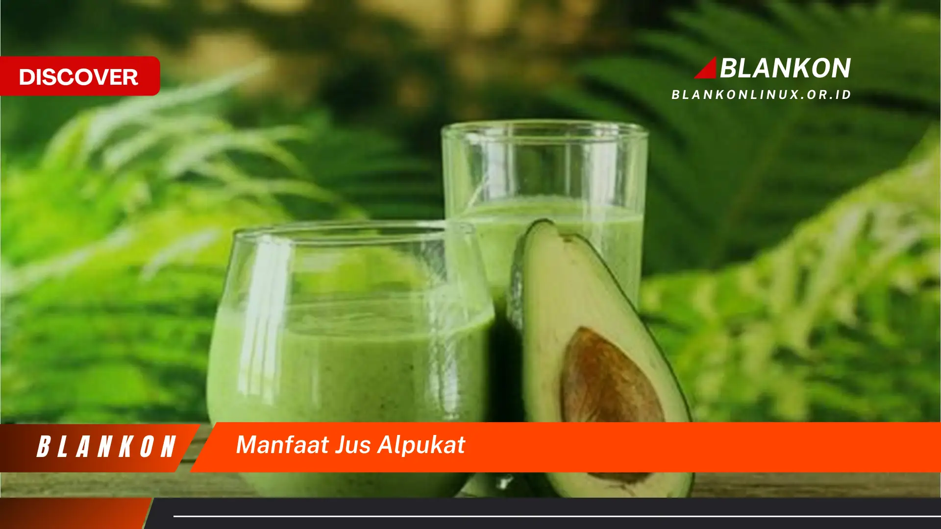 manfaat jus alpukat