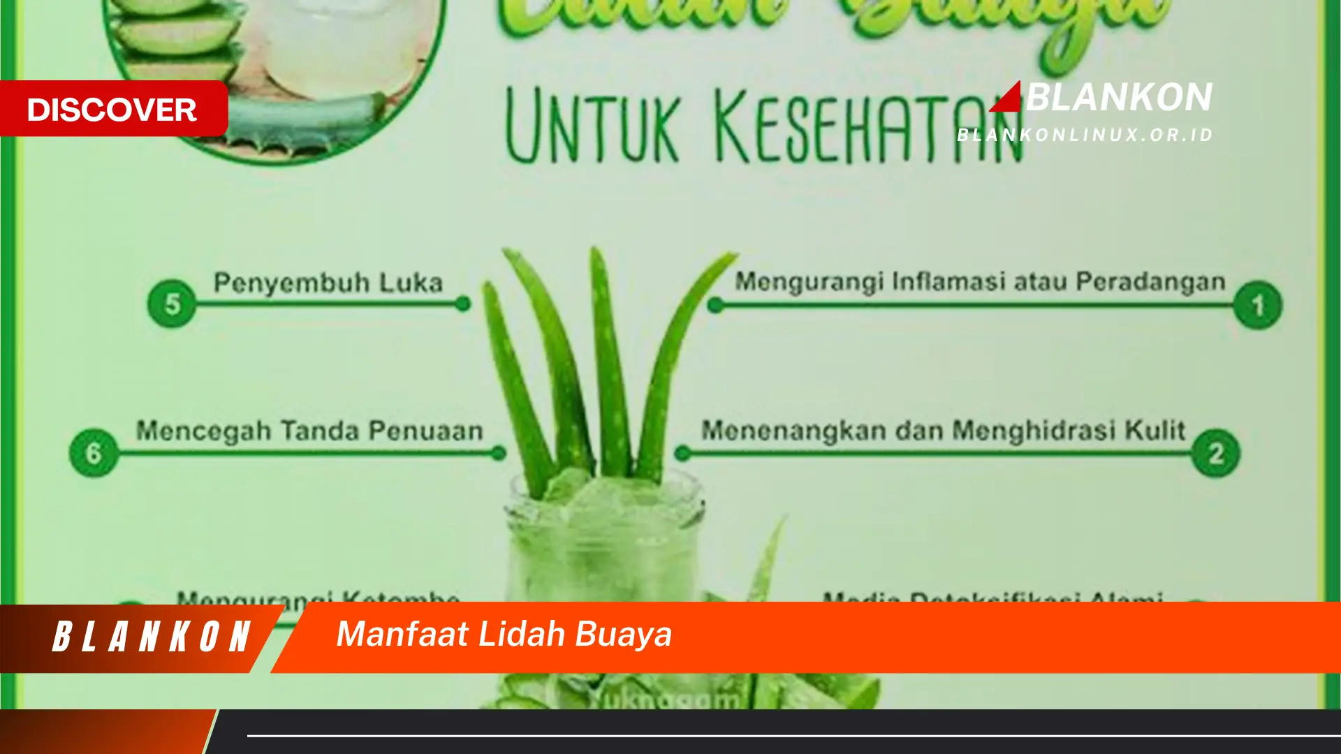 manfaat lidah buaya