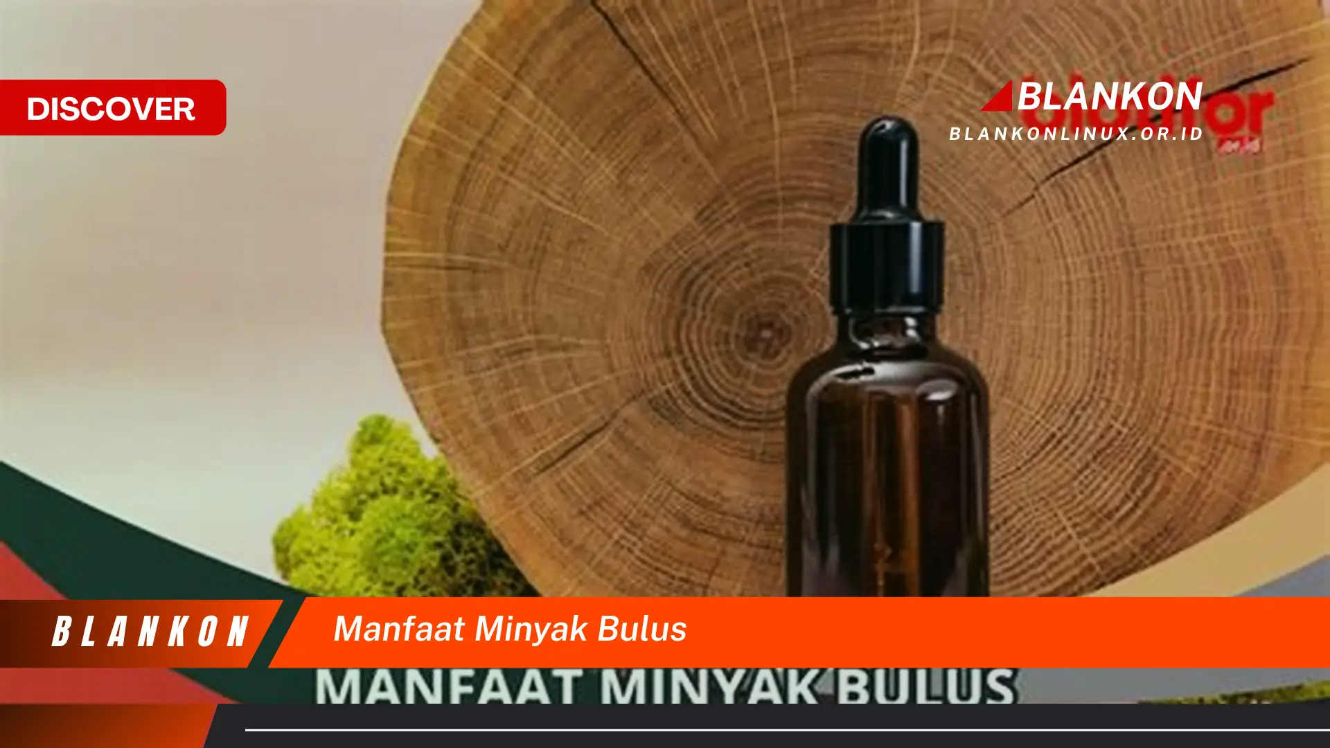 manfaat minyak bulus