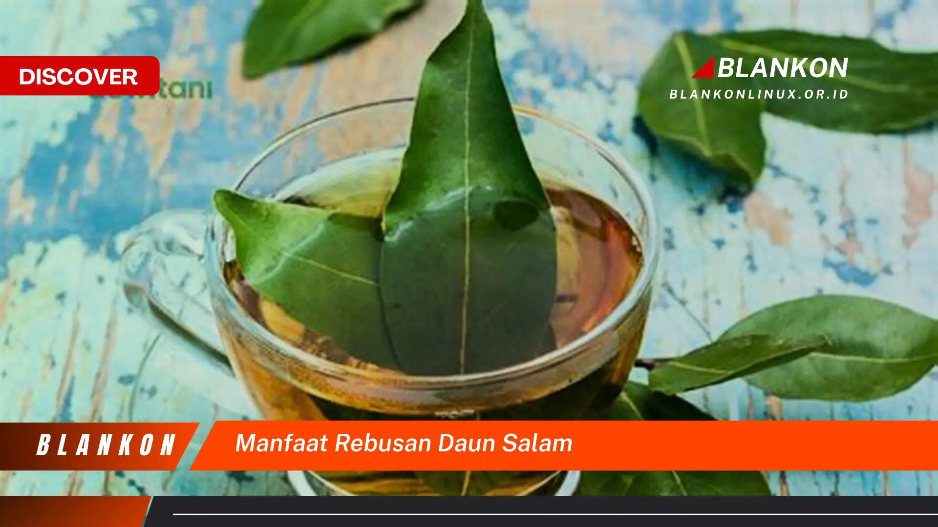 manfaat rebusan daun salam