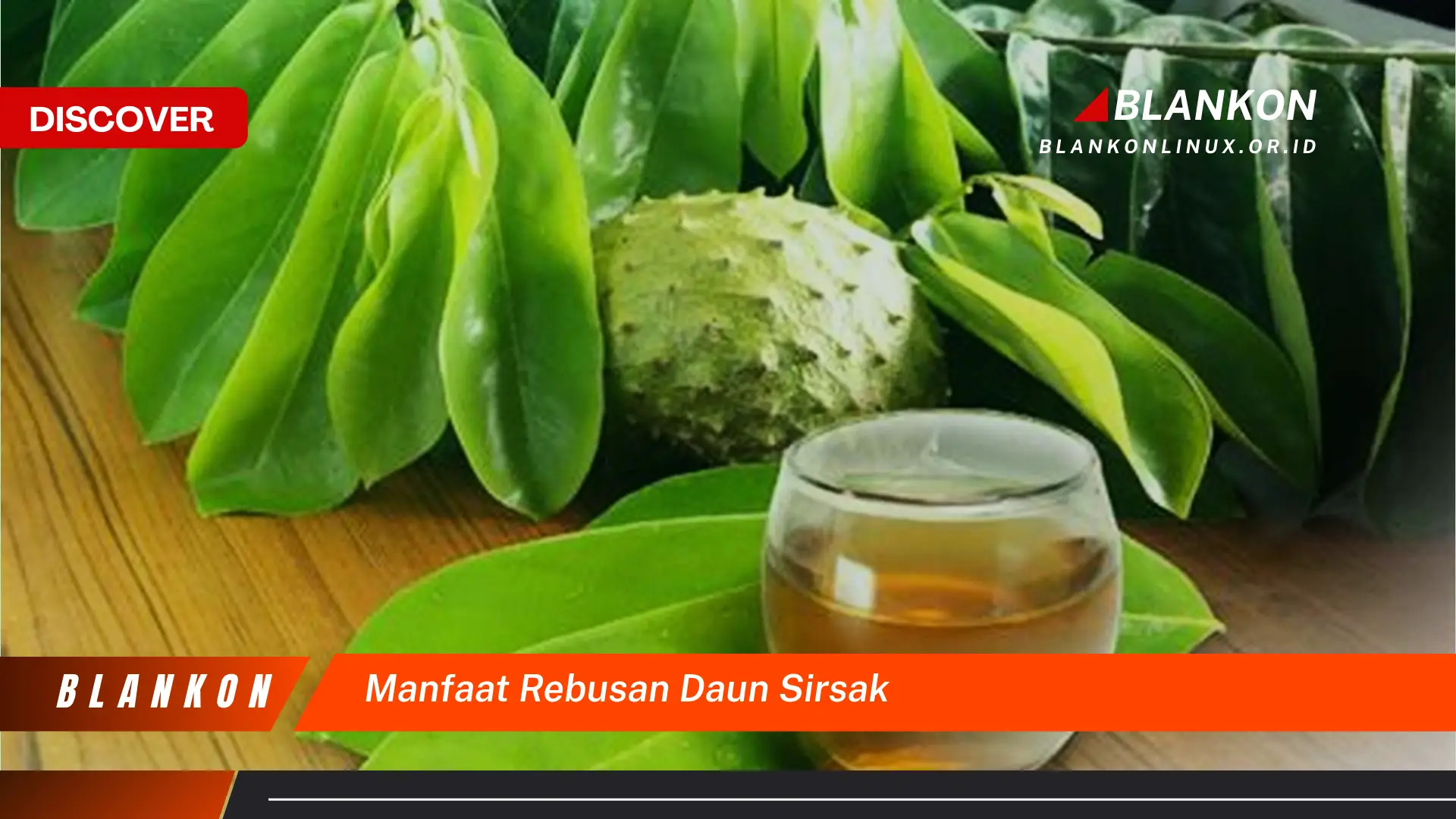 manfaat rebusan daun sirsak