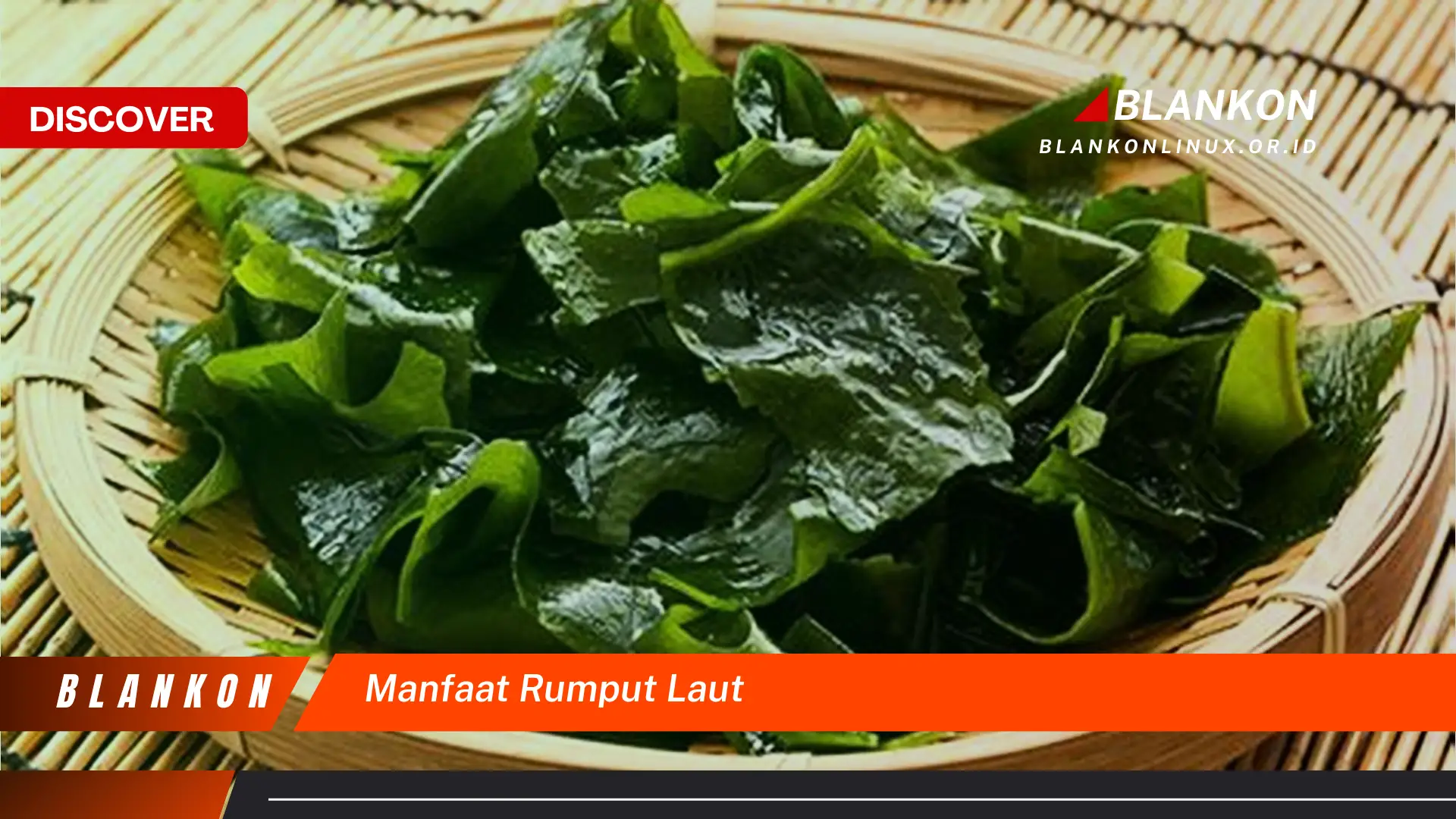 manfaat rumput laut