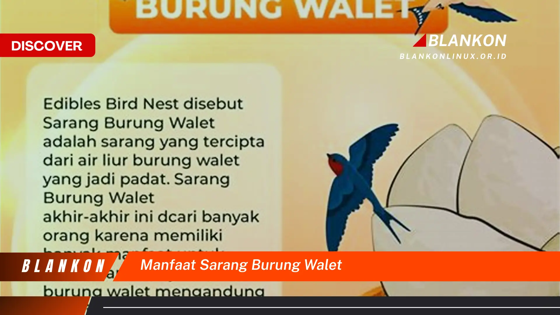 manfaat sarang burung walet