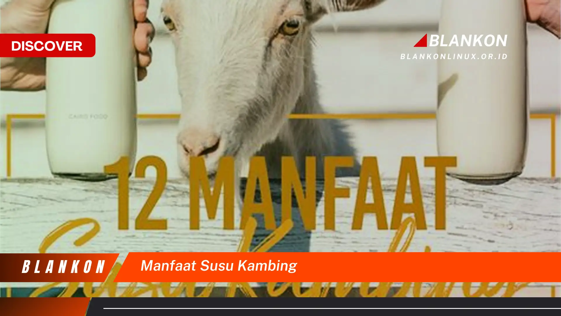 manfaat susu kambing