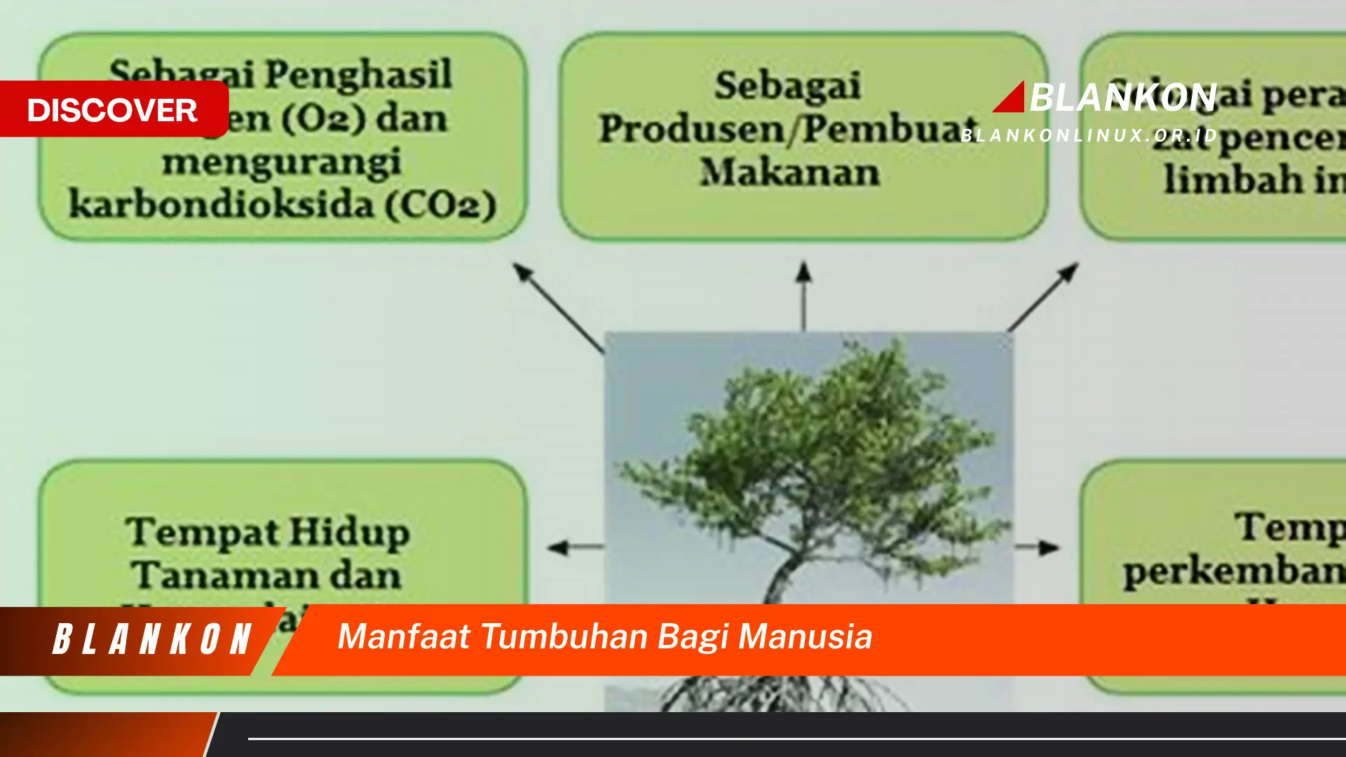 manfaat tumbuhan bagi manusia